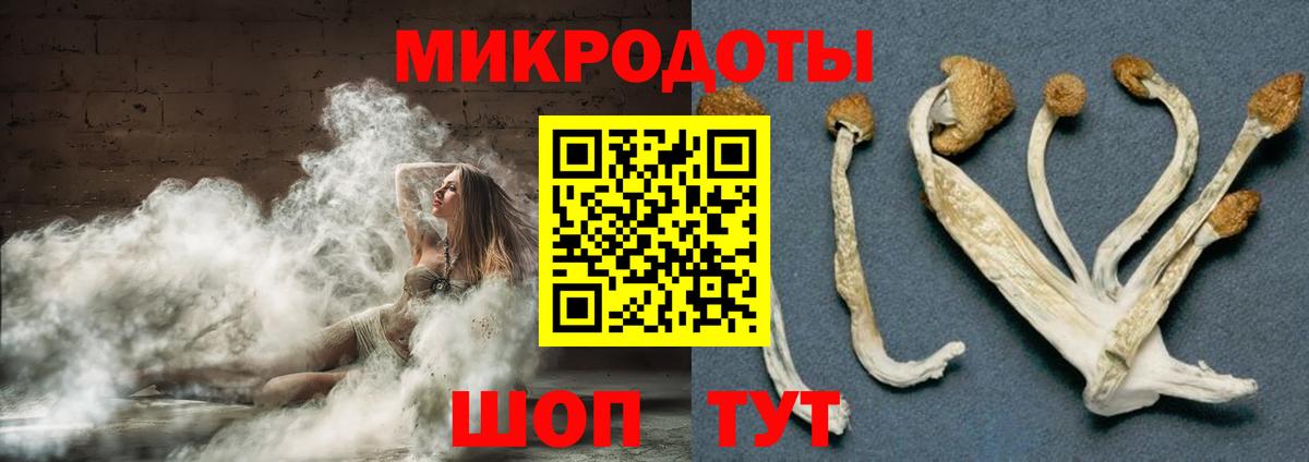 Псилоцибиновые грибы GOLDEN TEACHER Клин